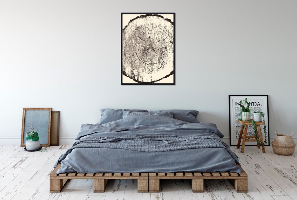 A minimal tree ring wall decor featuring a Douglas Fir in brown and cream.