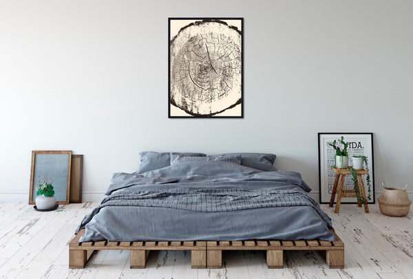 A minimal tree ring wall decor featuring a Douglas Fir in brown and cream.