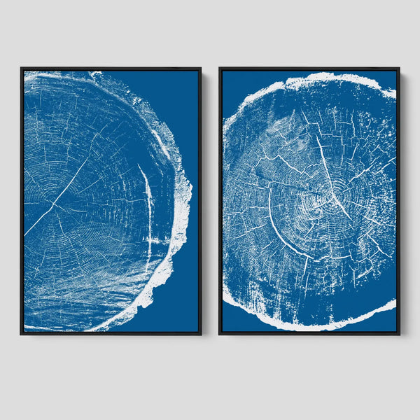 Tree Ring Wall Decor in Blue and White.