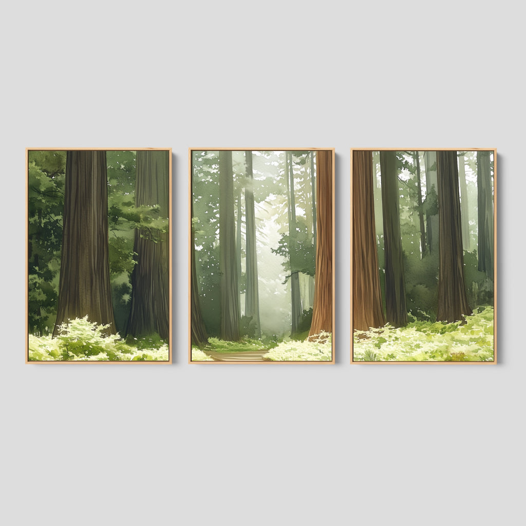 Redwood Forest Wall Art.