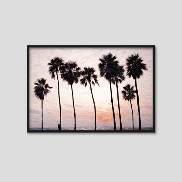 A Horizontal California Palm Tree Print.