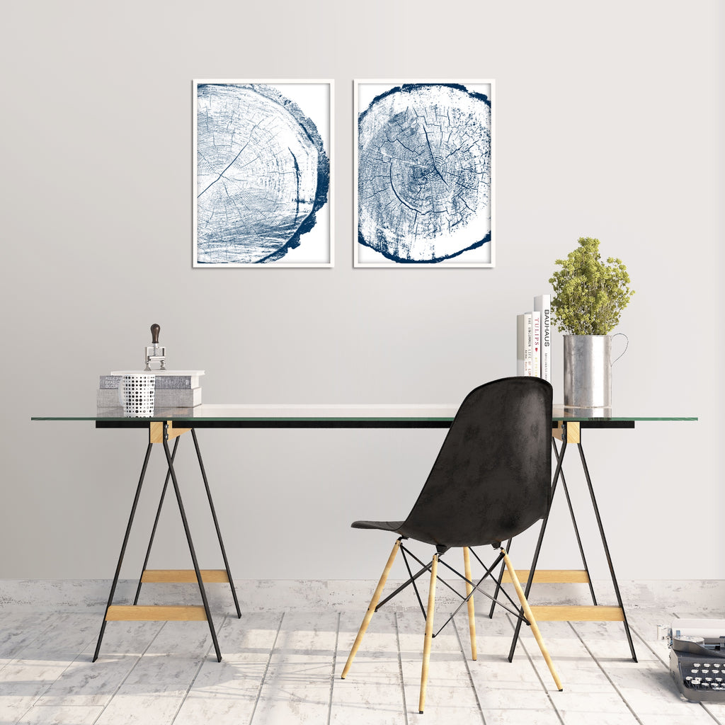 Douglas Fir tree ring wall art set in white and blue.